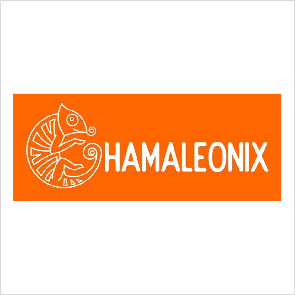 logo chamaleonix